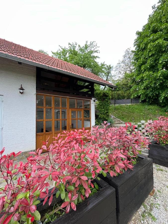 Cesargradska Klet Daire Tuhelj Dış mekan fotoğraf